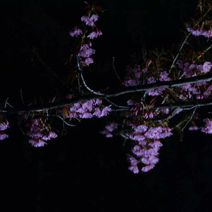 13学生脱到只剩丝袜自慰
